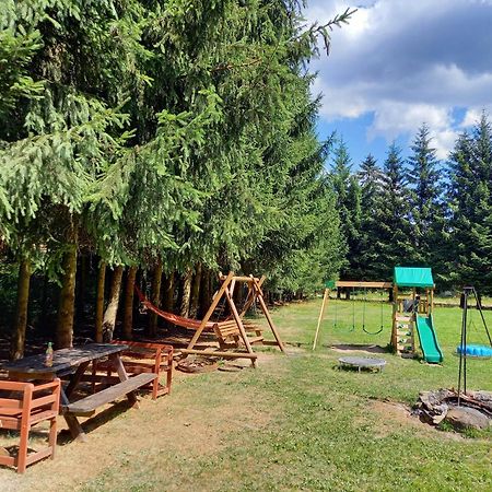 Villa Zacisze Karlow Exterior foto