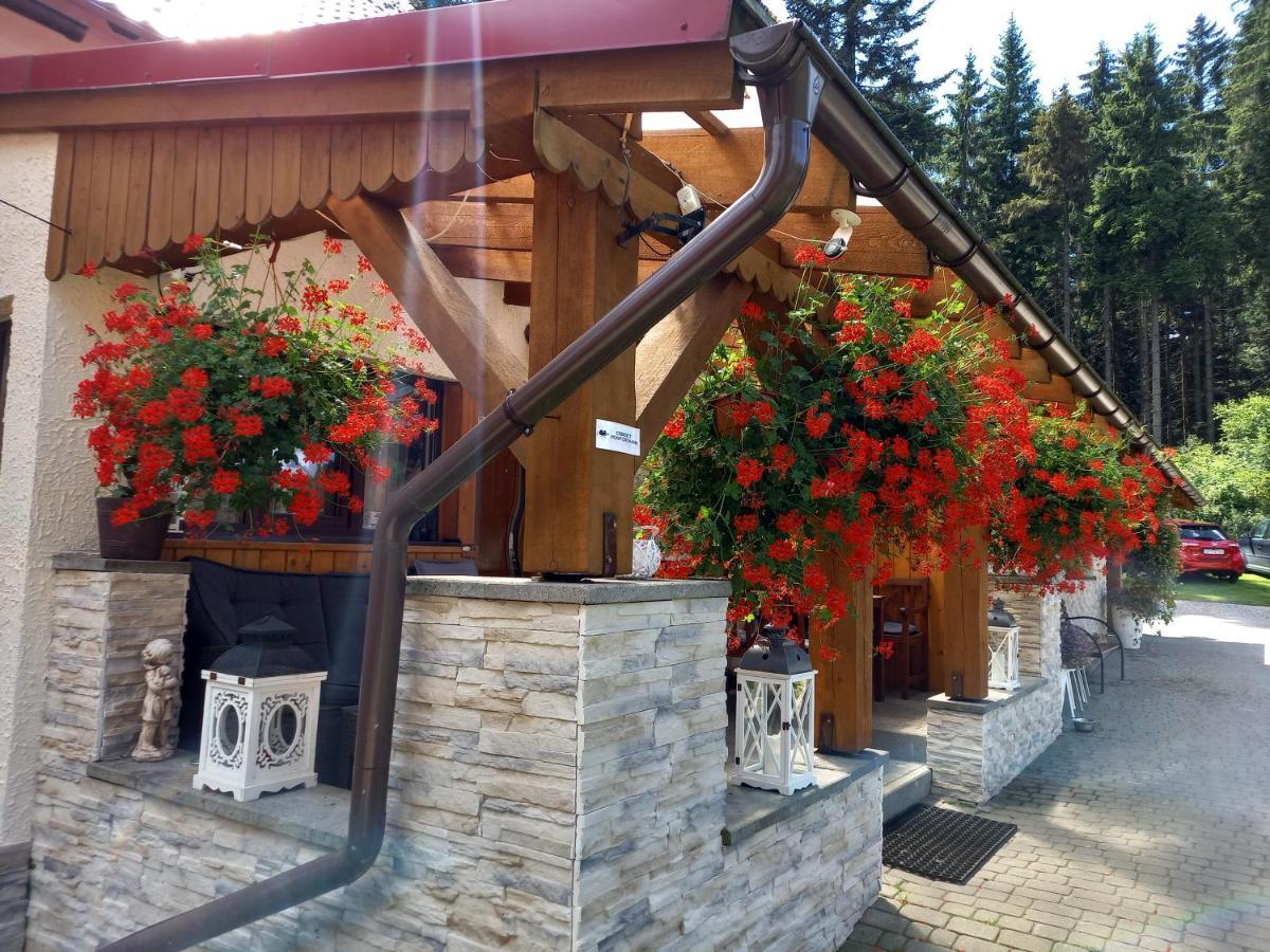 Villa Zacisze Karlow Exterior foto